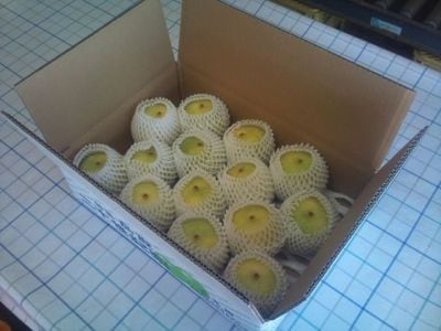 商品写真