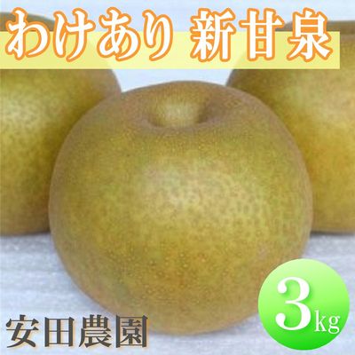 商品写真