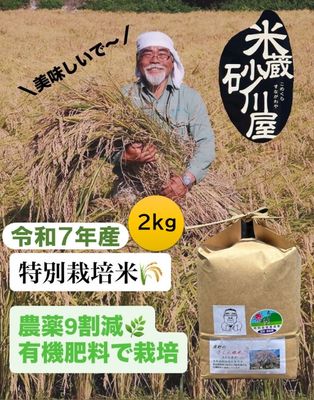令和7年産【特別栽培米】鹿野のさくら姫米コシヒカリ 2kg 精米