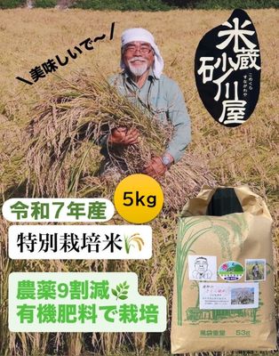 さくら様　コシヒカリ精米25Kg 令和7年産【特別栽培米】鹿野のさくら姫米コシヒカリ 5kg 精米