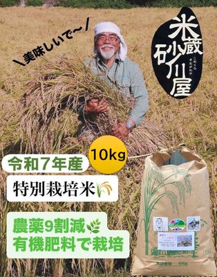 豆柴うるち米精米 Amazon.co.jp: 【新米】精米・令和7年産 3kg (3x1kg)【農家直売