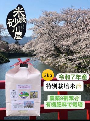 桜　伊勢しめ縄 桜 伊勢しめ縄 楽天市場】伊勢 しめ縄の通販