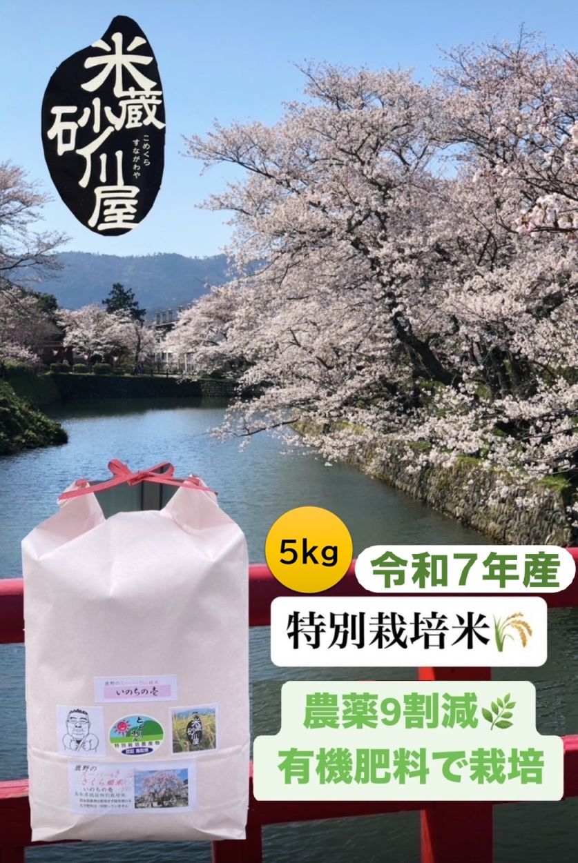 令和7年産【特別栽培米】鹿野のスーパーさくら姫米 いのちの壱5