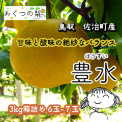 あくつの梨】豊水(佐治町産) 3kg箱詰め ｜鳥取の特産品お