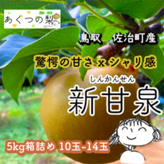 商品写真