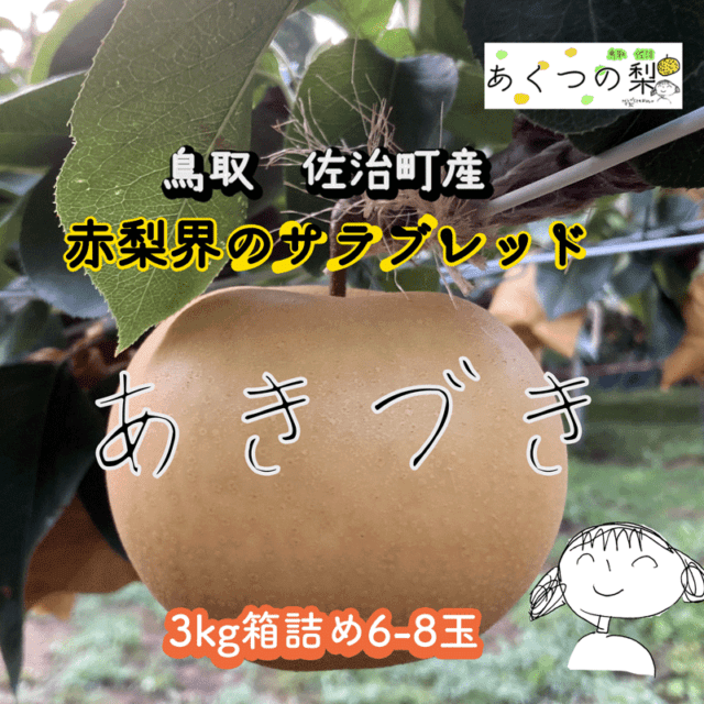 2026年度販売終了】あきづき(佐治町産) 3kg箱詰め【あくつの梨
