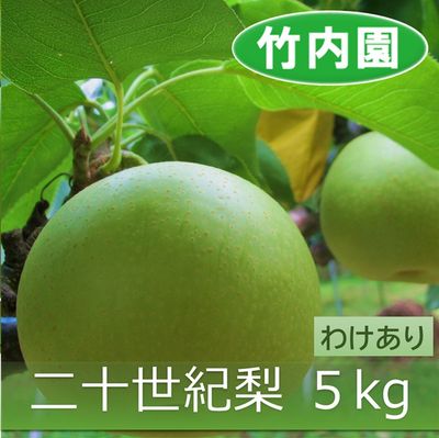 商品写真