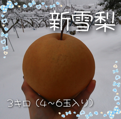 梨の木 薪 玉切り ⑥ NO7 薪用の梨の玉切り 1トン車