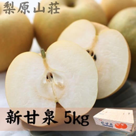 特選 新甘泉5kg【梨原山荘】 ｜鳥取の特産品お取り寄せ通販｜とっとり