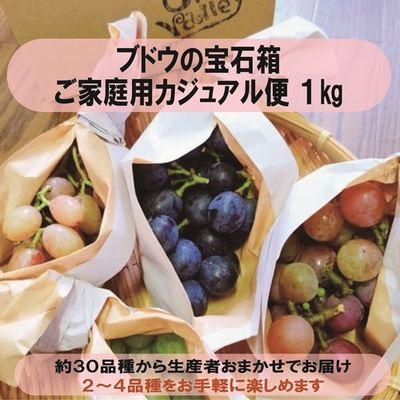商品写真