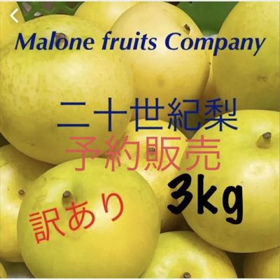 マロン　新高梨 マロンカンパニー】ほんの少し訳あり 20世紀梨 3kg（鳥取県八東産