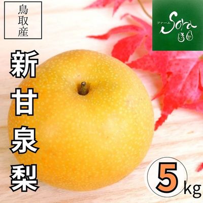 ⚠️ Rosegarden様専用⚠️茨城県産 梨/甘ひびき 秀品/10キロ