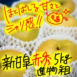 新甘泉【赤秀品 5kg】JA鳥取いなば 光センサー糖度選果【道の駅はっと