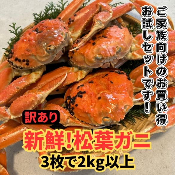 数量限定特価！◇訳あり◇新鮮松葉ガニ2kgセット【3枚】【さかなや新鮮