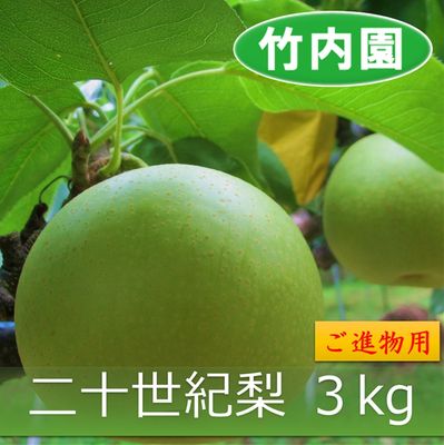 商品写真