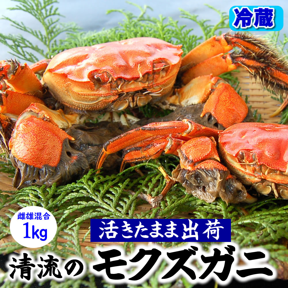 商品写真