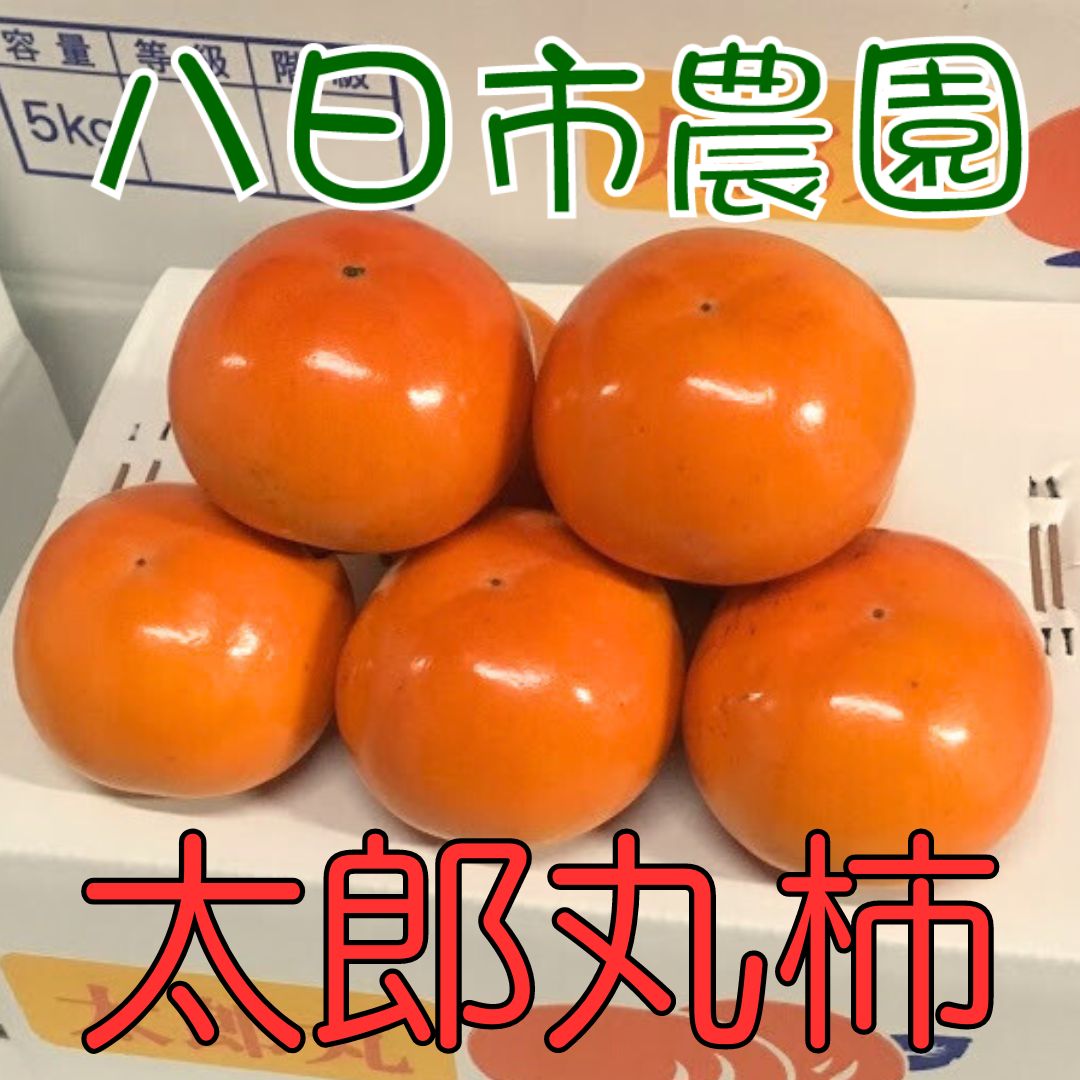 R7年終了】鳥取産 太郎丸柿(宗田早生)3.5kg(大玉8~12個入)【進物用