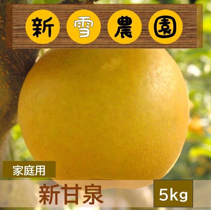 さるまま　新甘泉　家庭用10kg 梨 10kg 新甘泉梨 鳥取産 ご家庭用 送料無料 食品 : 食みらい