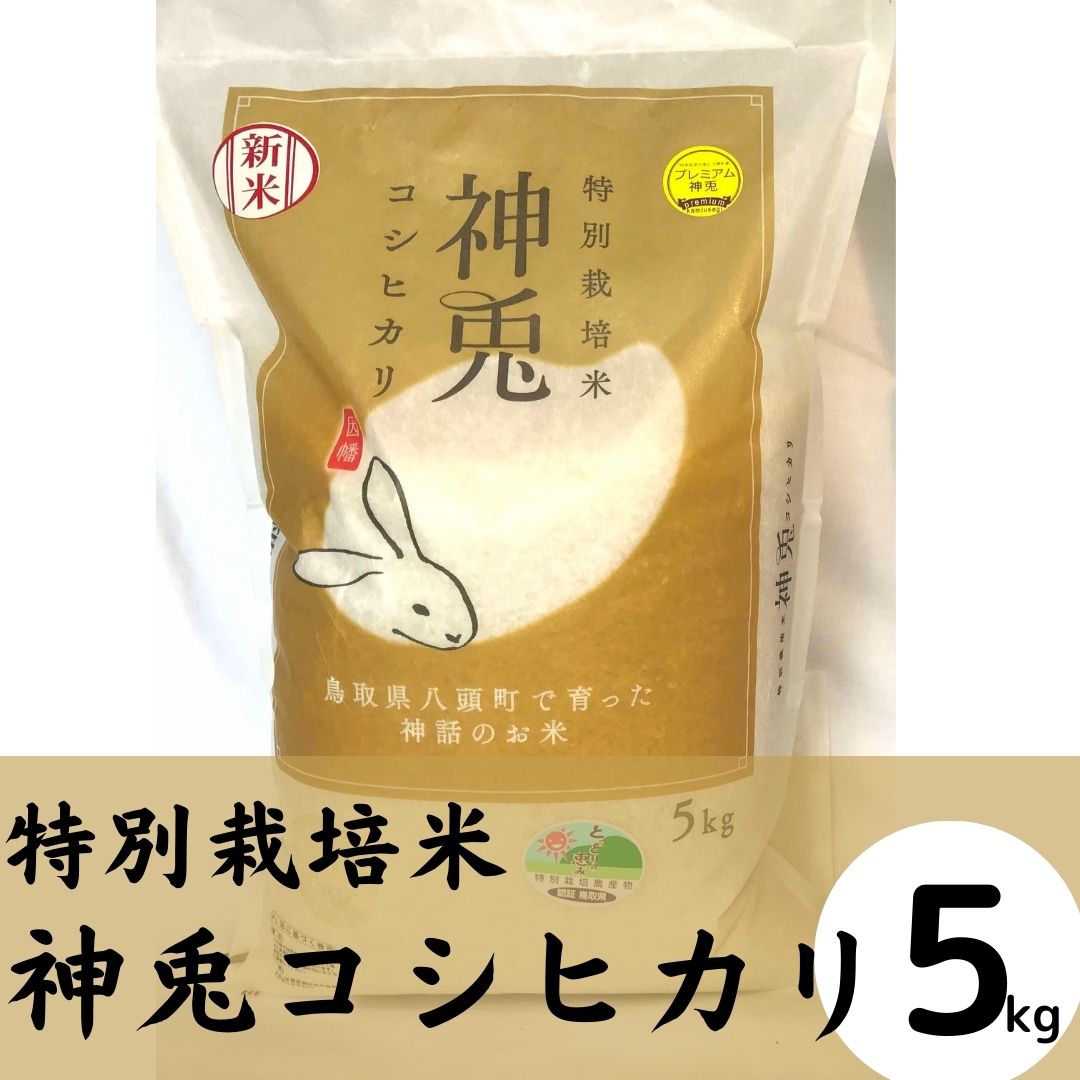 令和7年産 特別栽培米「神兎かみうさぎ」コシヒカリ 5kg【八頭米