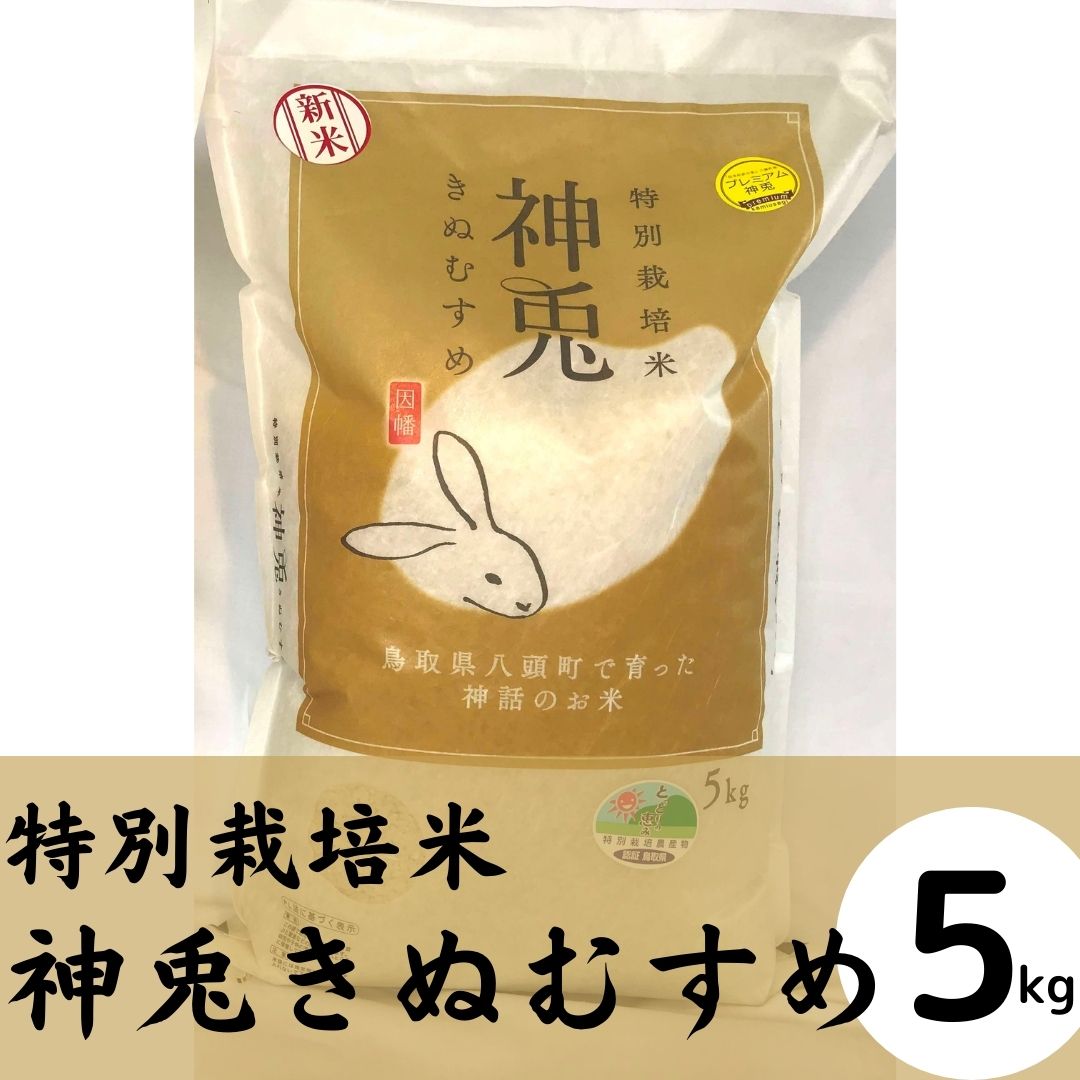 令和7年産 特別栽培米「神兎かみうさぎ」きぬむすめ 5kg【八頭米