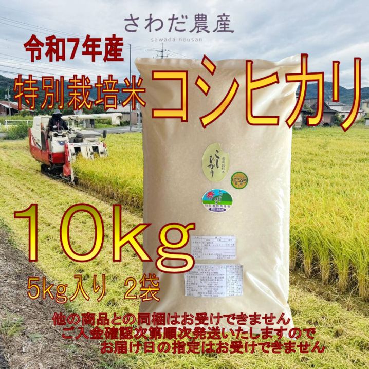 さわだ農産 令和7年産 【特別栽培米】 コシヒカリ 10kg ※他商品 同梱