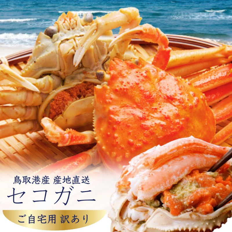 商品写真