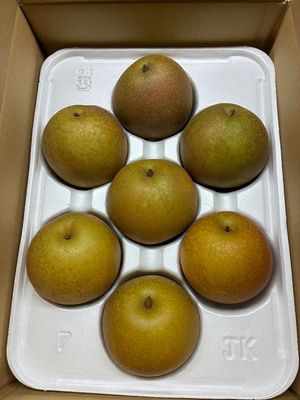 商品写真