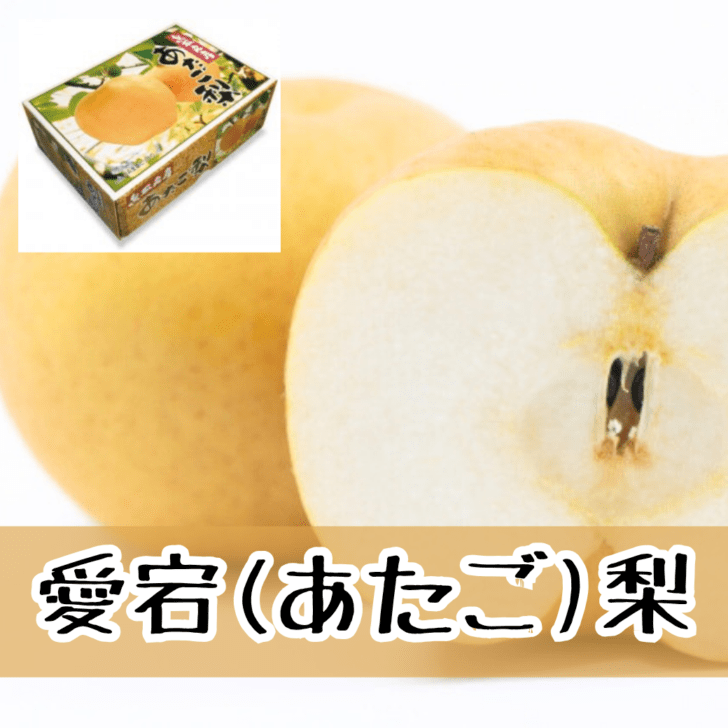 鳥取県福部町産【あたご梨】化粧箱 5キロ 予約販売 12月1日以降お届け