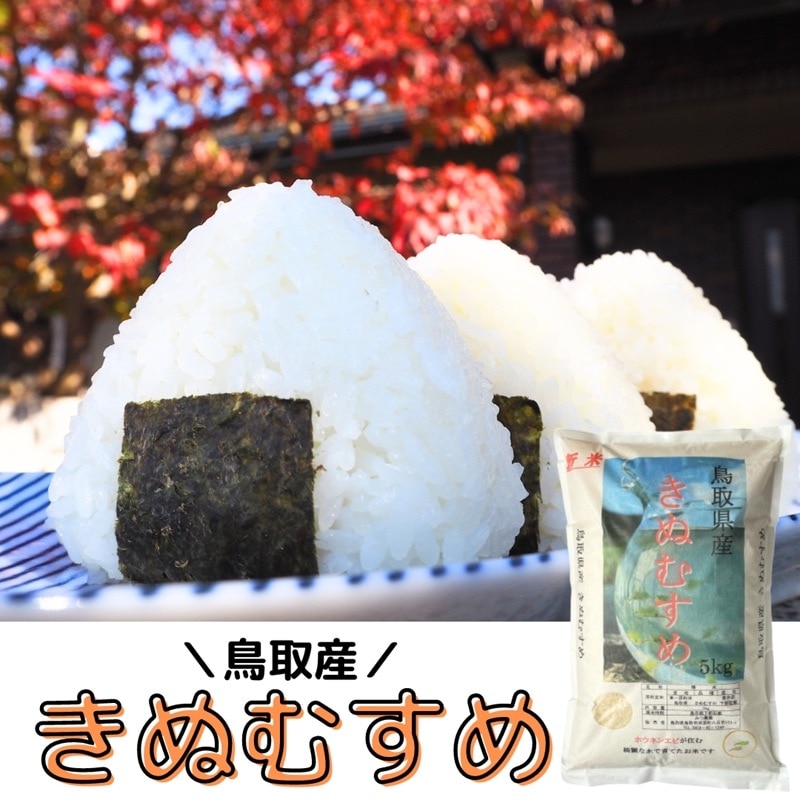 2025年新米 きぬむすめ5kg 精米 つやつや ふっくら 美味しい おにぎり