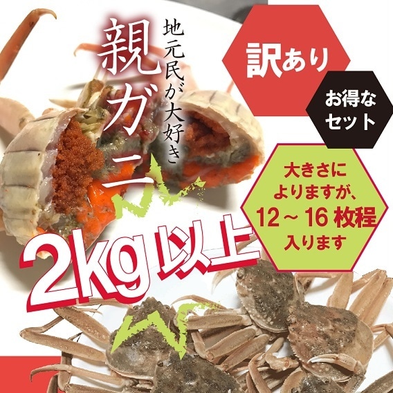 11/6カニ漁解禁】訳あり・親ガニ（セコガニ）2kg詰合せ【生／茹で
