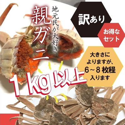 カニ　根付　天然素材 11/6カニ漁解禁】訳あり・親ガニ（セコガニ）1kg詰合せ【生／茹で