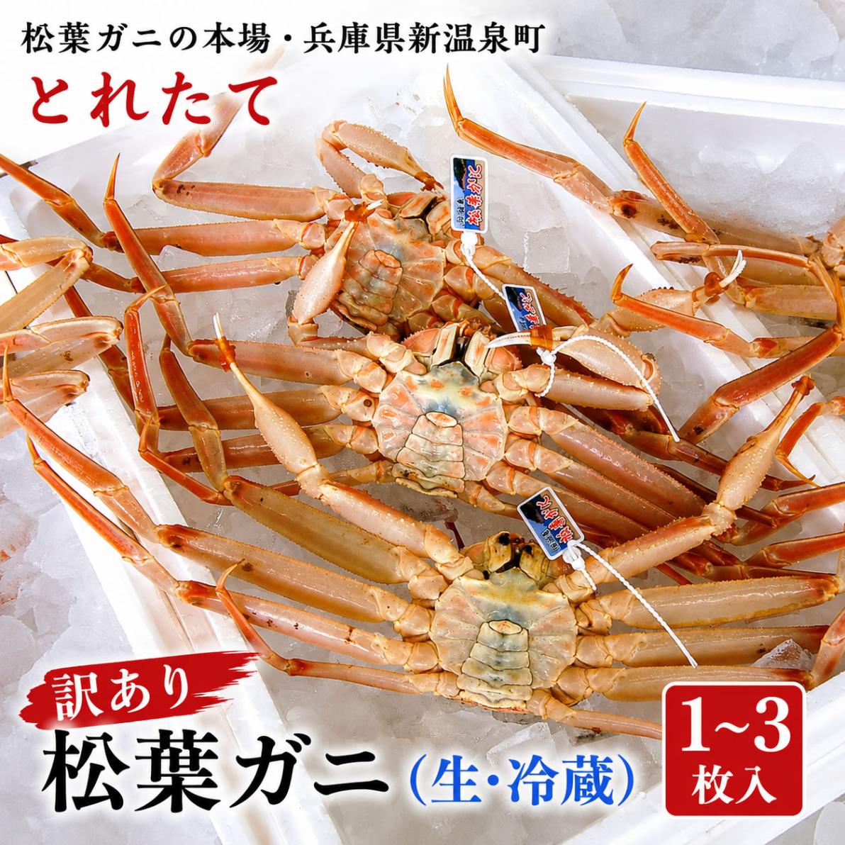 商品写真