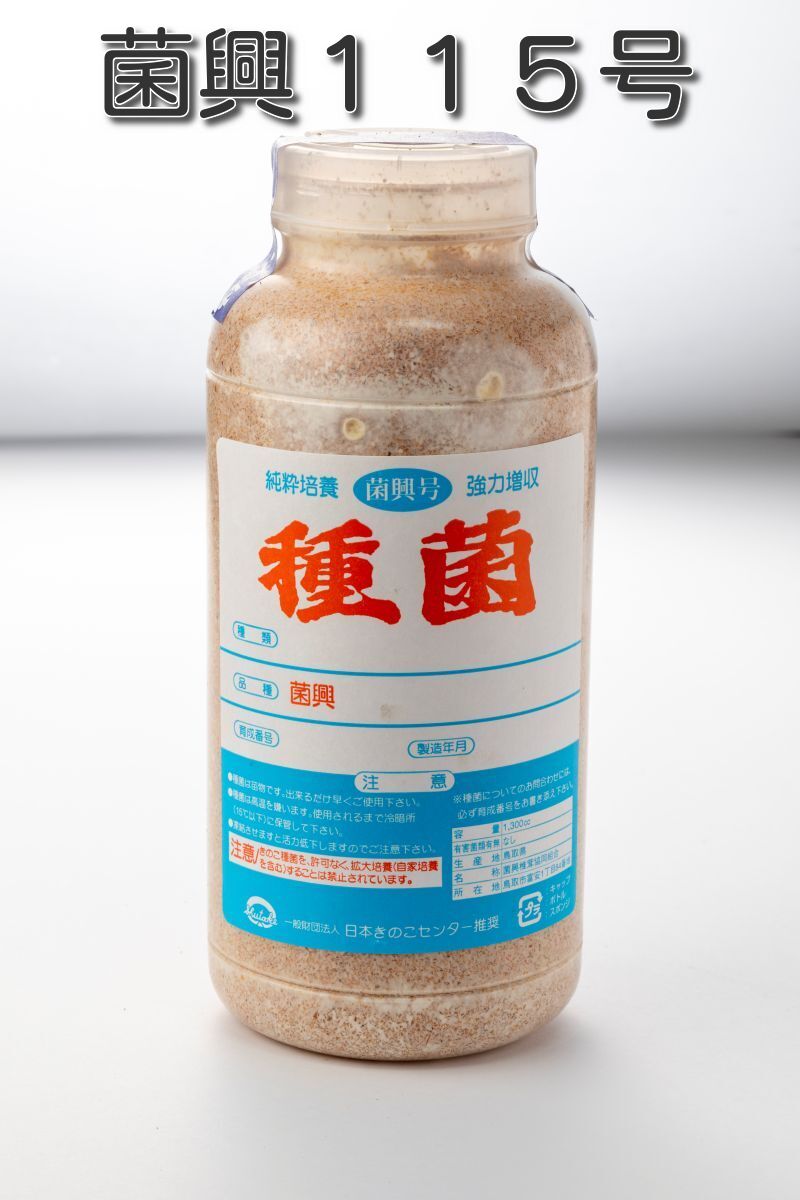 ほしたけ しいたけ種菌 菌興115号（オガ菌）【きのこのお店 しいたけ本舗