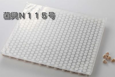 しいたけ種菌 形成菌N115号シート 【きのこのお店 しいたけ本舗