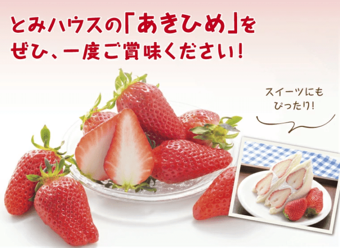 大粒苺【章姫(あきひめ)SP】450g 鳥取いちご とみハウス ｜鳥取の特産