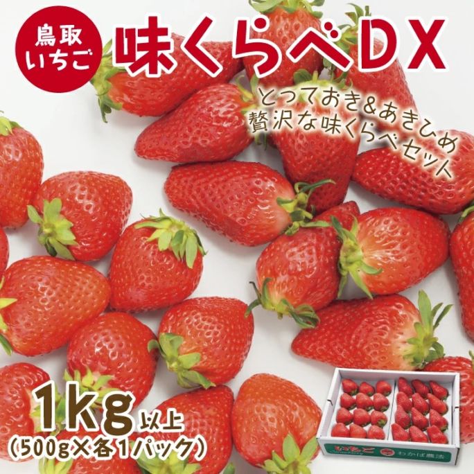 いちご様　お取り置き 鳥取いちご｜味くらべ1kg【章姫・とっておき】DX とみハウス ｜鳥取の