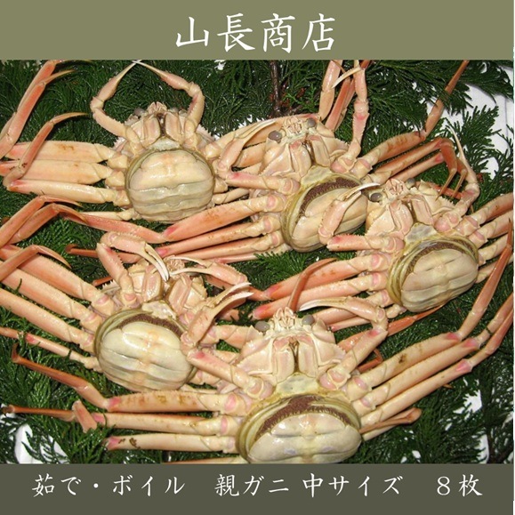 ボイル）親ガニ 中サイズ 8枚 【山長商店】 ｜鳥取の特産品お取り寄せ