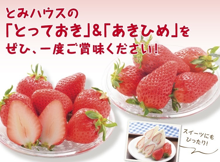 イチゴ 70726f647563742f696d672f333936