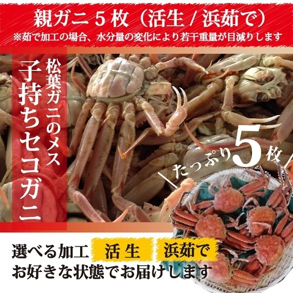 松葉ガニ漁解禁！ 親ガニ（セコガニ） 5枚セット【活生／茹で】【山根
