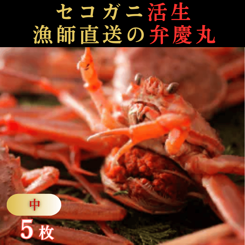 セコガニ活生「中5枚」(弁慶丸)【到着日指定不可】 ｜鳥取の特産品お