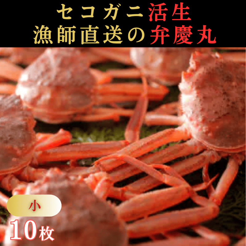 セコガニ活生「小10枚」(弁慶丸)【到着日指定不可】 ｜鳥取の特産品お