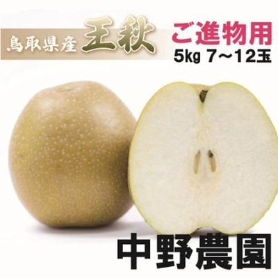 梨　王秋　15㎏　ひろこさん専用 楽天市場】【送料無料】【味本位〜無袋栽培】王秋梨・赤秀品5Kg産地