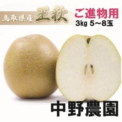 商品を探す,果物,梨,王秋 ｜鳥取の特産品お取り寄せ通販｜とっとり市