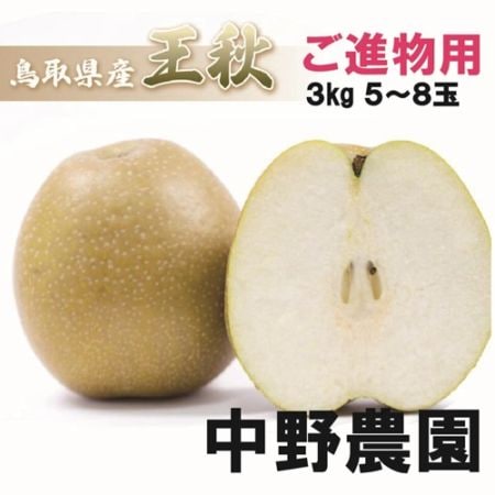 進物用 王秋梨 3kg（5～8玉）【中野農園】 ｜鳥取の特産品お