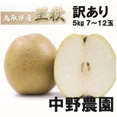 商品を探す,果物,梨,王秋 ｜鳥取の特産品お取り寄せ通販｜とっとり市