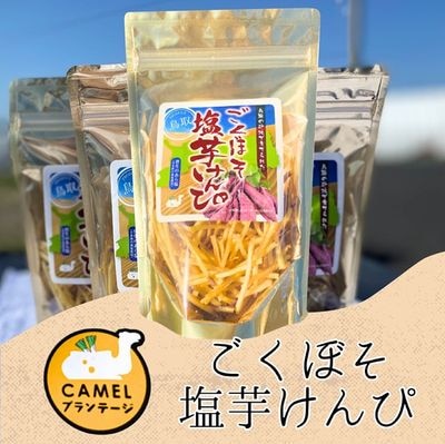ごくぼそ塩芋けんぴ 50g【Camelプランテージ】 ｜鳥取の特産品お
