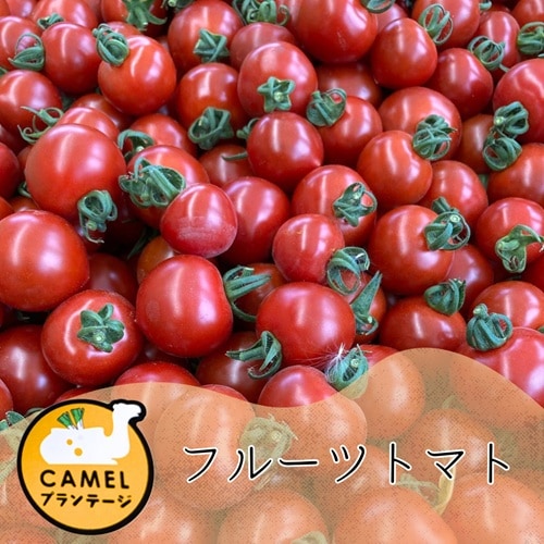 トマト出品❶ 000000001567_nTj6nOo.jpg