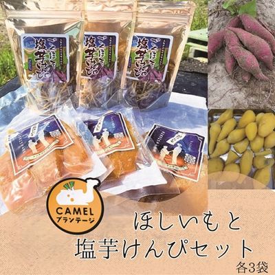 さつまいもたっぷり／ほしいも＆塩芋けんぴセット（各3袋）【Camel