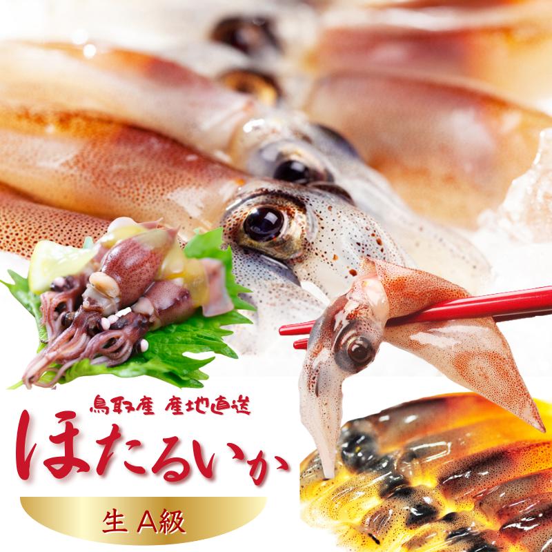 新物 ホタルイカ 生 A級品【いまる】 ｜鳥取の特産品お取り寄せ通販