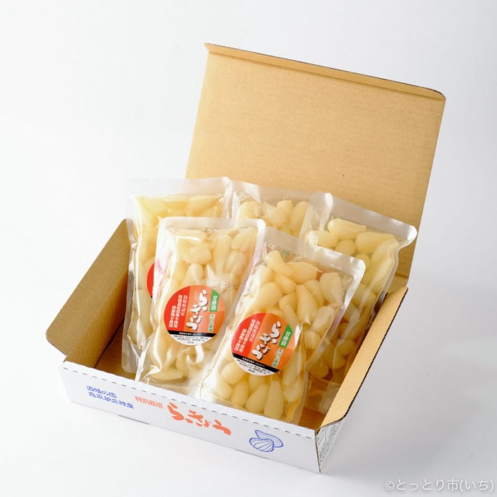 農薬不使用らっきょうの甘酢漬 160g×5袋【砂丘農園】 ｜鳥取の特産品お